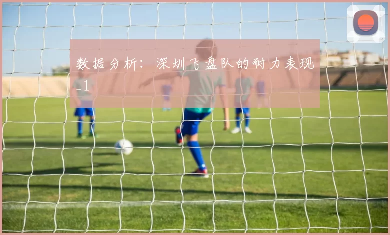 数据分析：深圳飞盘队的耐力表现_1