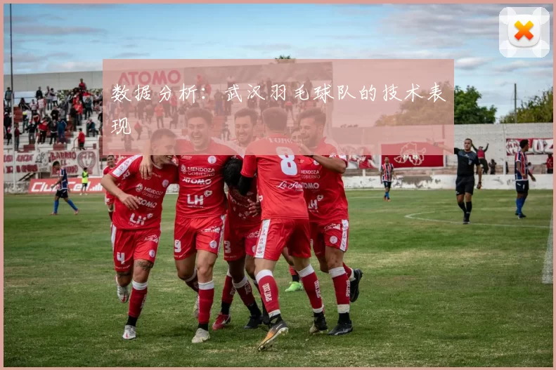 数据分析：武汉羽毛球队的技术表现