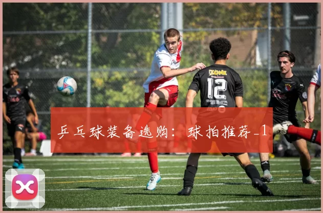 乒乓球装备选购：球拍推荐_1
