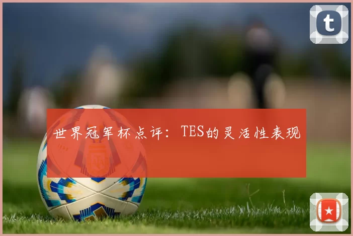 世界冠军杯点评：TES的灵活性表现