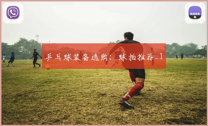 乒乓球装备选购：球拍推荐_1