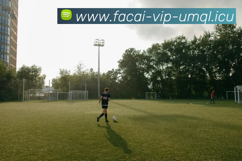 爱游戏体育平台生态图