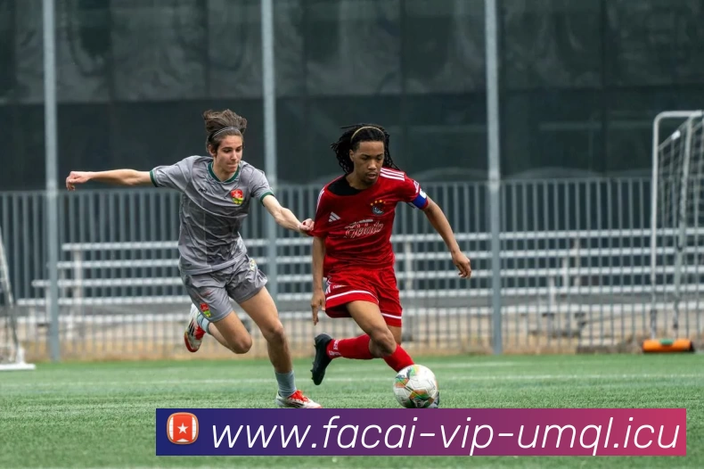 爱游戏体育APP 封面图